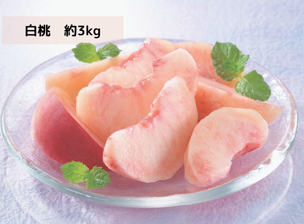 【ご注文受付8/3まで！】イチケイ農園のもも（白桃）約3Kg（発送開始7/10頃～）